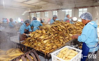 山西大同 農產品加工業銷售破43億元，產業結構優化升級